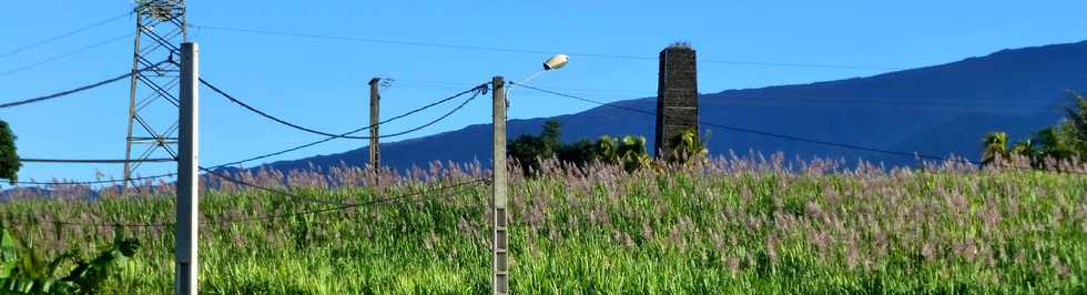 19 juin 2016 - St-Pierre - Ravine des Cabris - Chemine de Mahavel