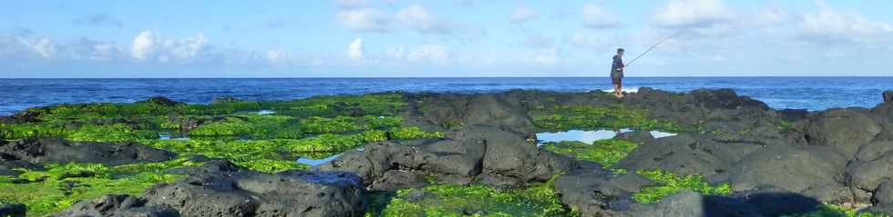 22 juin 2016 - St-Pierre -  Pointe du Diable  mare basse -