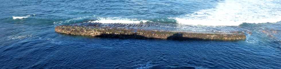 22 juin 2016 - St-Pierre - Sentier littoral Pointe du Diable - Tuf  dtach