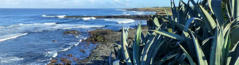 22 juin 2016 - St-Pierre - Sentier littoral Pointe du Diable -