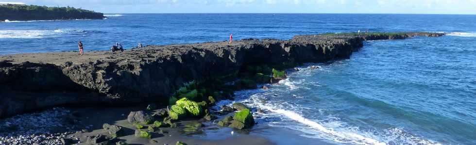 22 juin 2016 - St-Pierre -  Pointe du Diable  mare basse -