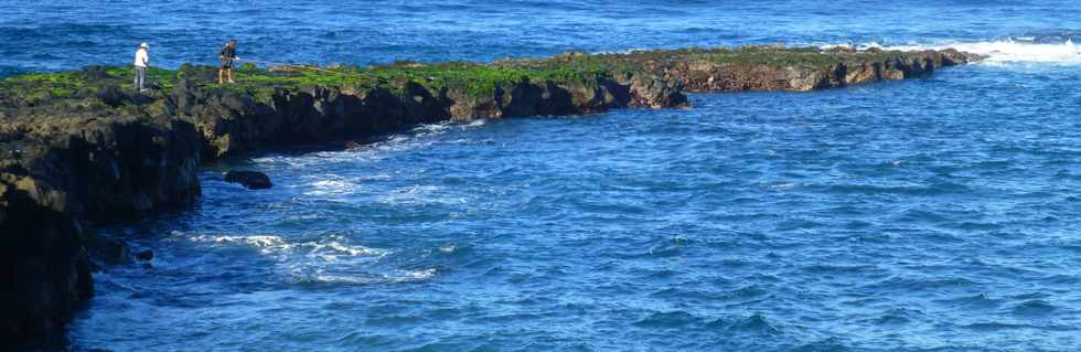 22 juin 2016 - St-Pierre -  Pointe du Diable  mare basse -