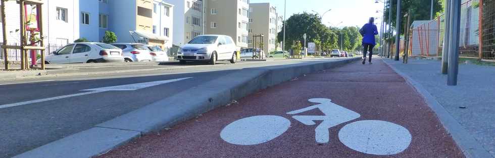 24 juin 2016 - St-Pierre - Piste cyclable rue du Docteur Vergès
