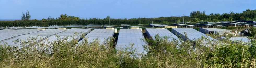 26 juin 2016 - St-Pierre - Ferme photovoltaque Pierrefonds