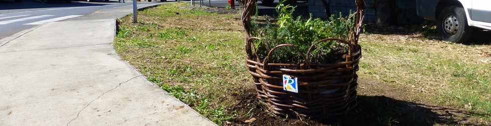 29 juin 2016 - St-Pierre - Bois d'Olives  - Corbeilles bois de goyavier Conseil dpartemental