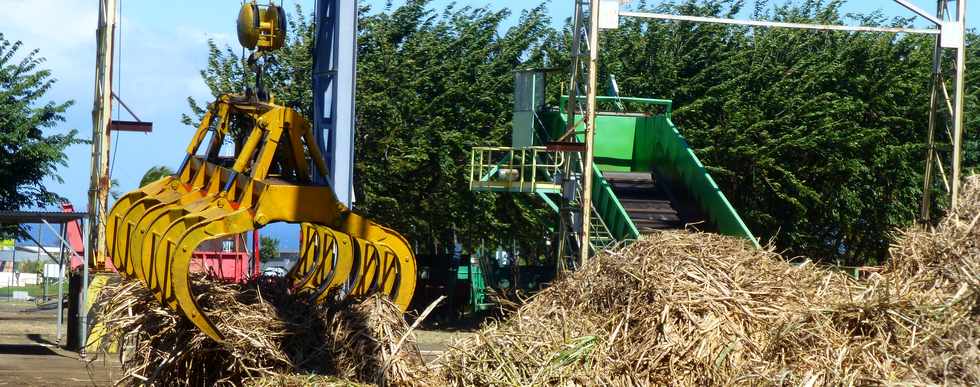 29 aot 2016 - St-Pierre -Centre de rception des cannes des Casernes -  Grappin