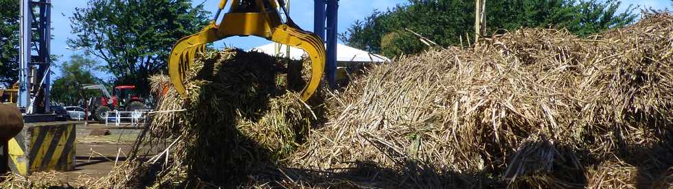 29 aot 2016 - St-Pierre -Centre de rception des cannes des Casernes - Grappin