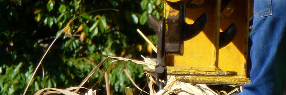 9 septembre 2016 - St-Pierre - Balance des Casernes - Palonnier