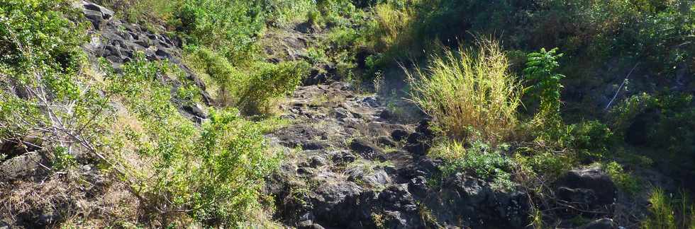 9 septembre 2016 - St-Pierre - Ligne des Bambous - Ravine Blanche