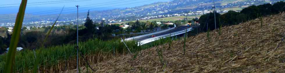 9 septembre 2016 - St-Pierre - Ravine des Cabris - Chemin Lenormand