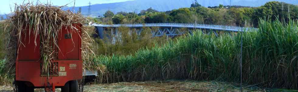 9 septembre 2016 - St-Pierre - Ravine des Cabris - Pont de l'Entre-Deux