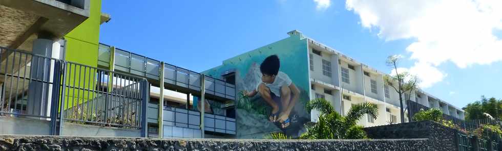 9 septembre 2016 - St-Pierre - Ravine des Cabris - Collège - Fresque de l'artiste Méo