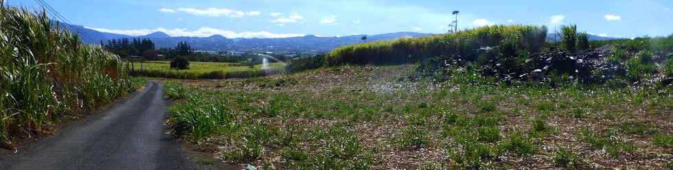 11 septembre 2016 - St-Pierre - Ravine Blanche - Alle Jacquot -