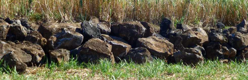 11 septembre 2016 - St-Pierre - Ravine Blanche - Alle Jacquot -