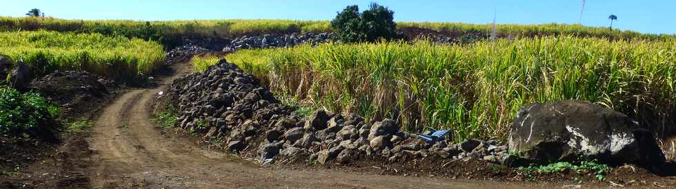 11 septembre 2016 - St-Pierre - Ravine Blanche - Alle Jacquot -