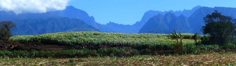 11 septembre 2016 - St-Pierre - Ravine Blanche - Alle Jacquot -  Entre du cirque de Cilaos