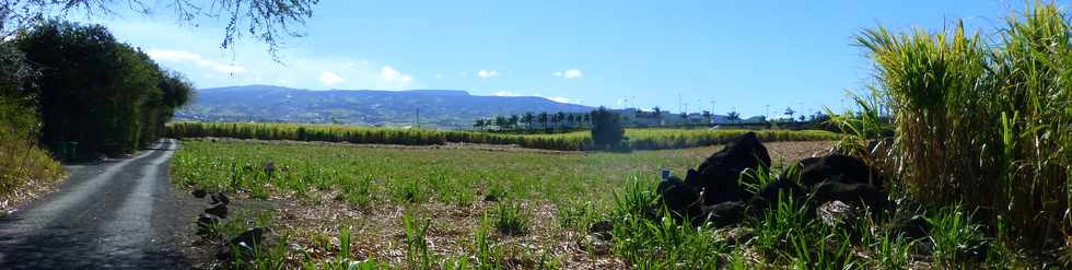 11 septembre 2016 - St-Pierre - Ravine Blanche - Alle Jacquot -