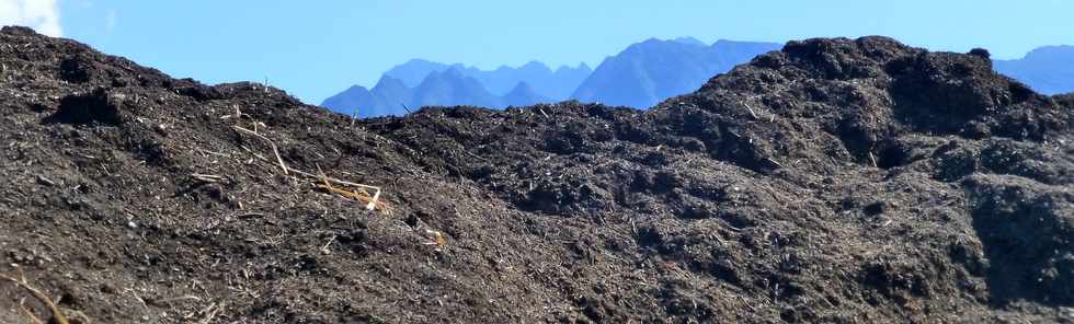 11 septembre 2016 - St-Pierre - Ravine Blanche - Alle Jacquot -