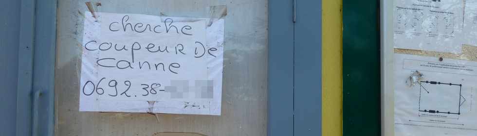 21 septembre 2016 - St-Pierre - Balance des Casernes -  Cherche coupeur de canne