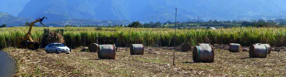 23 septembre 2016 - St-Pierre - Chemin Badamier - Chargeur Bell