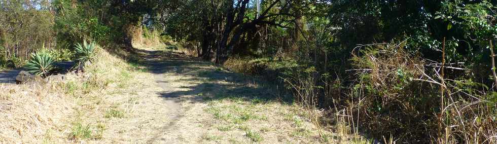 23 septembre 2016 - St-Pierre - Chemin Badamier - Canal St-Etienne