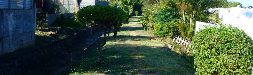 25 septembre 2016 - St-Pierre - Basse Terre - Canal St-Etienne