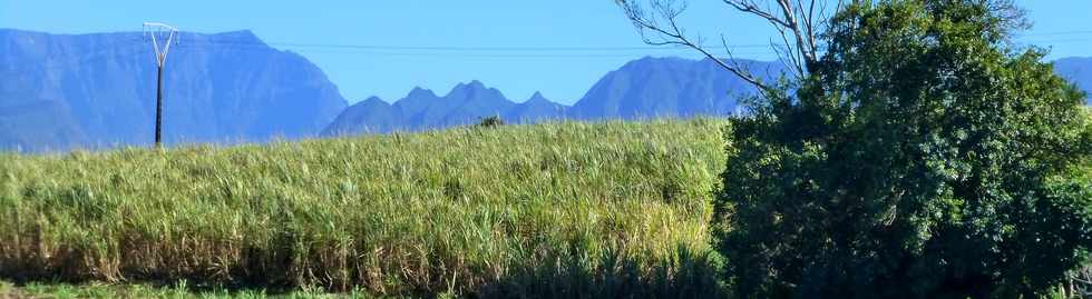 2 octobre 2016 - St-Pierre - Chemin de Bassin Plat - Vers les Hauts