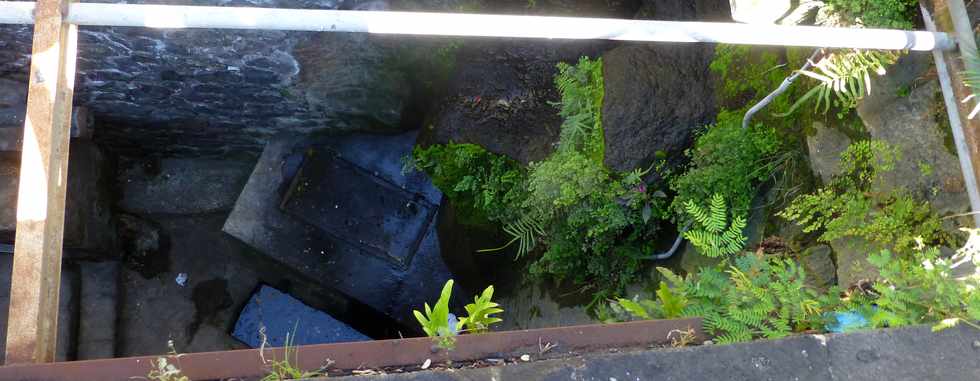 2 octobre 2016 - St-Pierre - Passage souterrain vers la rivire d'Abord