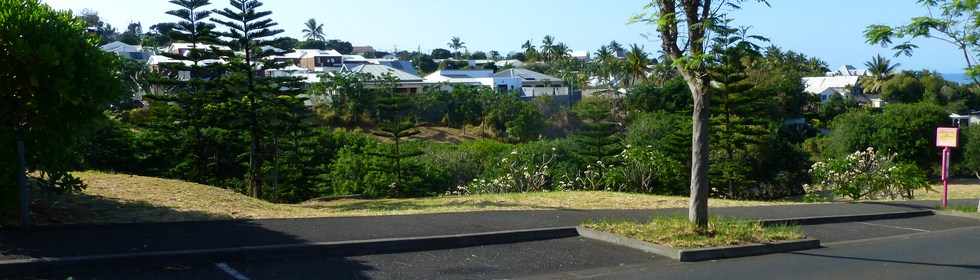 5 octobre 2016 - St-Pierre - Terre Sainte -  ZAC Ocan Indien - Coule verte