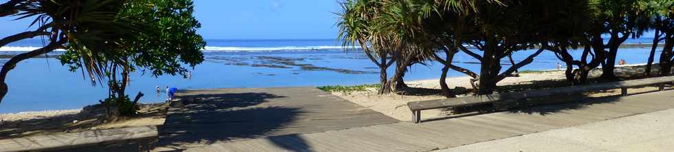 5 octobre 2016 - St-Pierre - Jardins de la  plage -