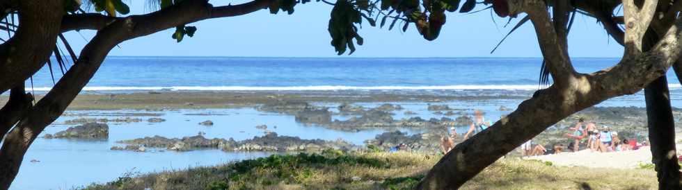 5 octobre 2016 - St-Pierre - Jardins de la  plage -