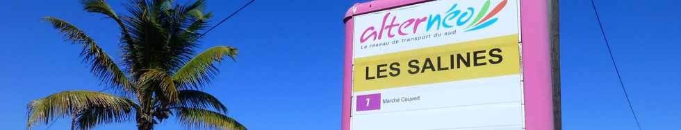 12 octobre 2016 - St-Pierre - Arrêt Alternéo Les Salines