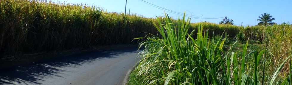 14 octobre 2016 - St-Pierre - Bassin Plat - Chemin Bassin Plat - Dviation Est - Variante trac A -