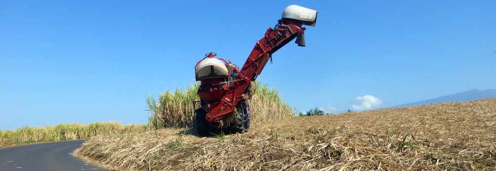 14 octobre 2016 - St-Pierre - Chemin Bassin Plat - Coupeuse mcanique de canne  sucre  CASE 7000