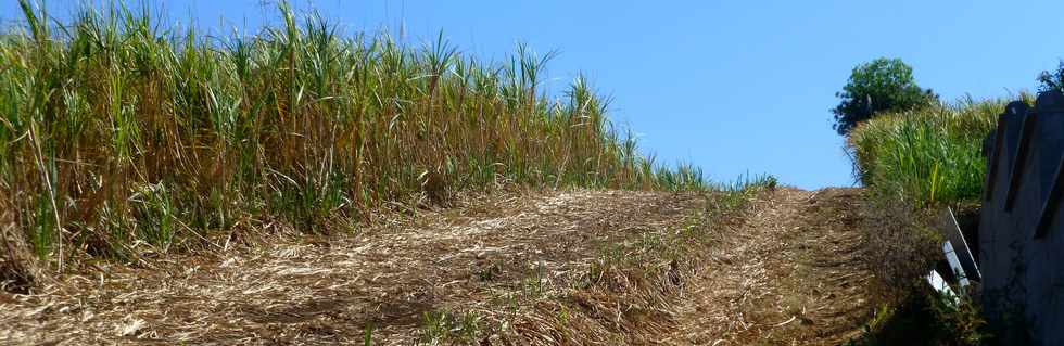 14 octobre 2016 - St-Pierre - Chemin Bassin Plat - Sentier Grand Raid