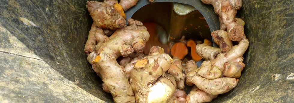 16 octobre 2016 - St-Pierre - Dcoupe de cossettes de curcuma