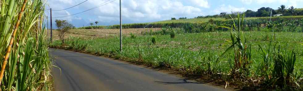 19 octobre 2016 - St-Pierre - Chemin de Bassin Plat -