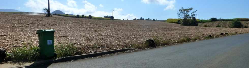 19 octobre 2016 - St-Pierre - Chemin de Bassin Plat - Champs coups