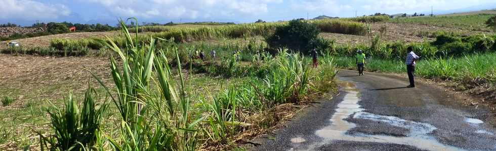 19 octobre 2016 - St-Pierre - Chemin Croix Jubil - Grand Raid - Nettoyage par Emplois aids