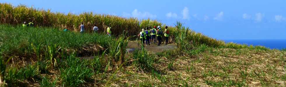 19 octobre 2016 - St-Pierre - Nettoyage Chemin Croix Jubil par Emplois aids- Grand Raid -