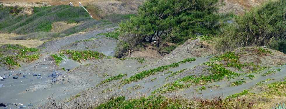 23 octobre 2016 - St-Pierre - Pointe du Diable - Dunes de Saline Balance