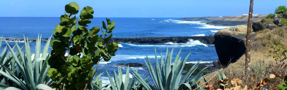 23 octobre 2016 - St-Pierre - Pointe du Diable -