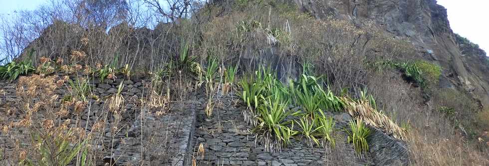 29 octobre 2016 - La Rivire St-Louis- Canal des Alos -