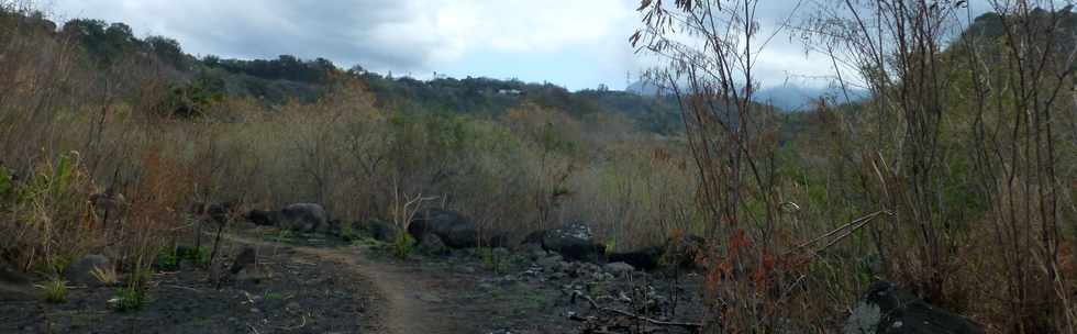 29 octobre 2016 - La Rivire St-Louis- Vers le Canal des Alos -