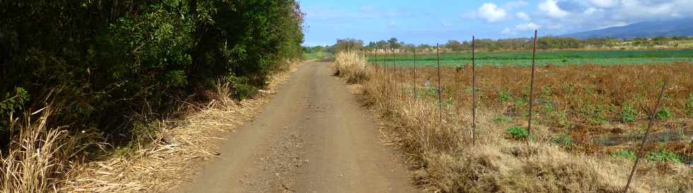 30 octobre 2016 - St-Pierre - ZAC Canabady - Chemin Jean Cadet -