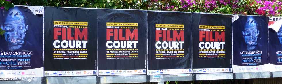 13 novembre 2016 - St-Pierre - Pierrefonds - Festival film court