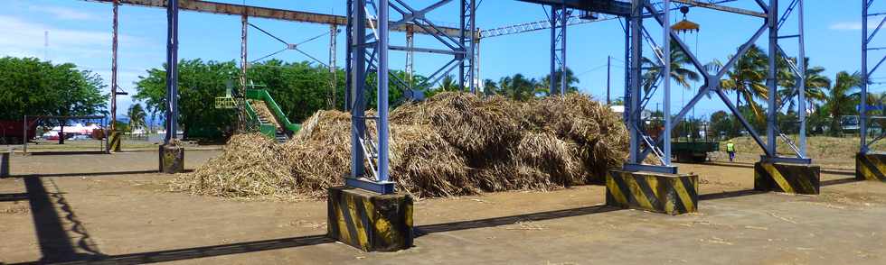 6 dcembre 2016 - St-Pierre - Balance des Casernes - Derniers jours de campagne sucrire -