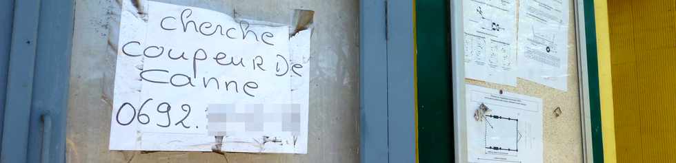 8 décembre 2016 - St-Pierre - Balance des Casernes - Fin de campagne sucrière