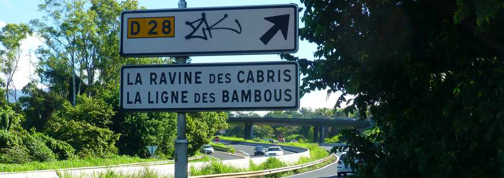 19 mars 2017 - St-Pierre - Voie cannière vers la Ligne des Bambous -