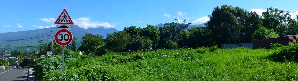 19 mars 2017 - St-Pierre -  Ligne des Bambous -